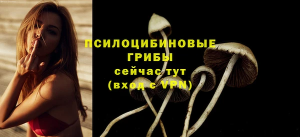 твердый Чита