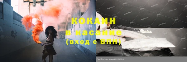 твердый Чита