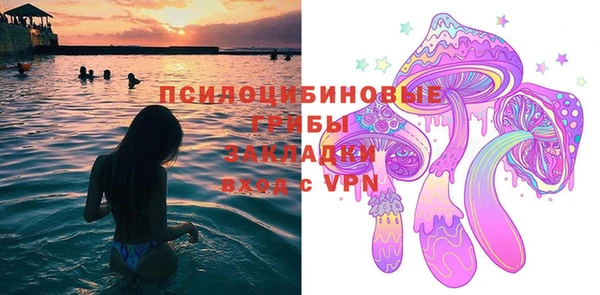 PSILOCYBIN Киренск