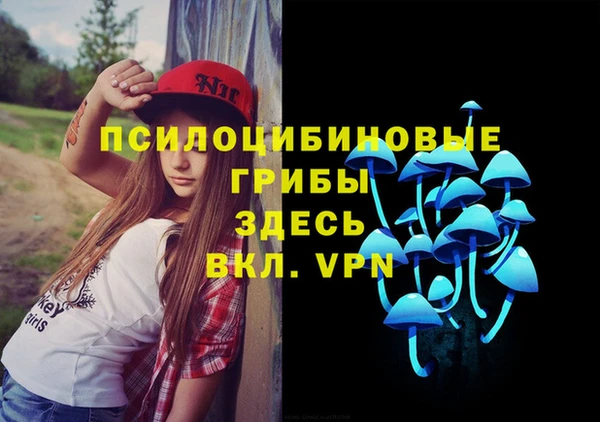 первитин Архангельск