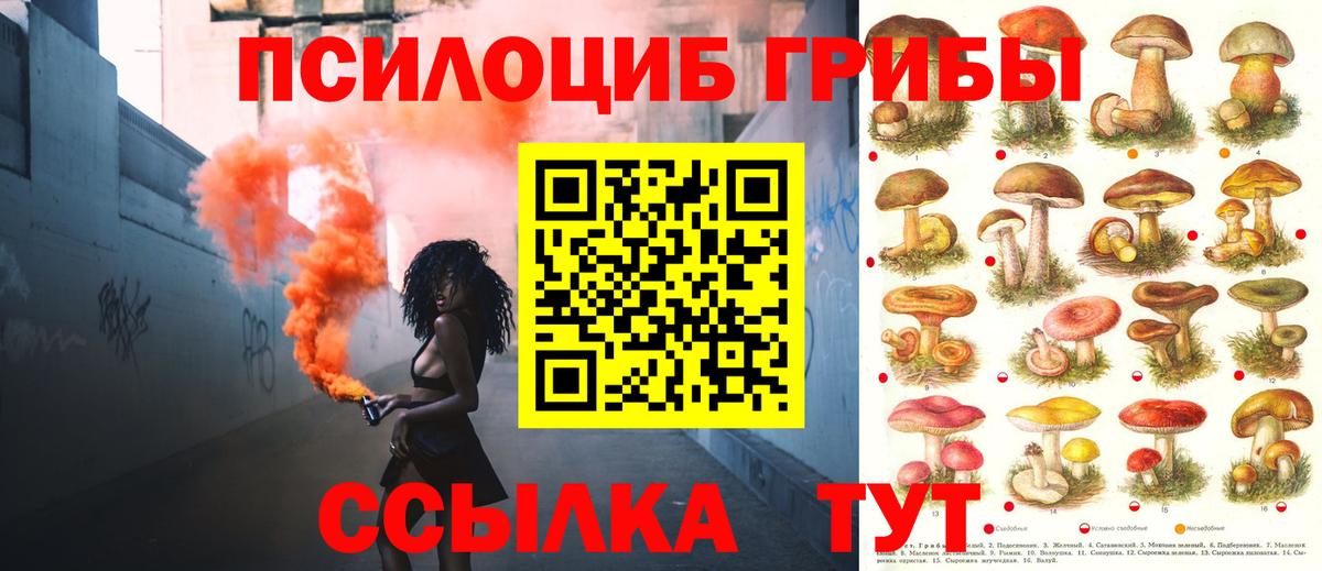 Галлюциногенные грибы MAGIC MUSHROOMS  Белорецк 